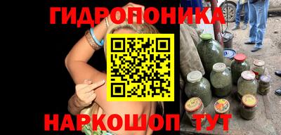 кокс Донской