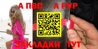 кокс Донской