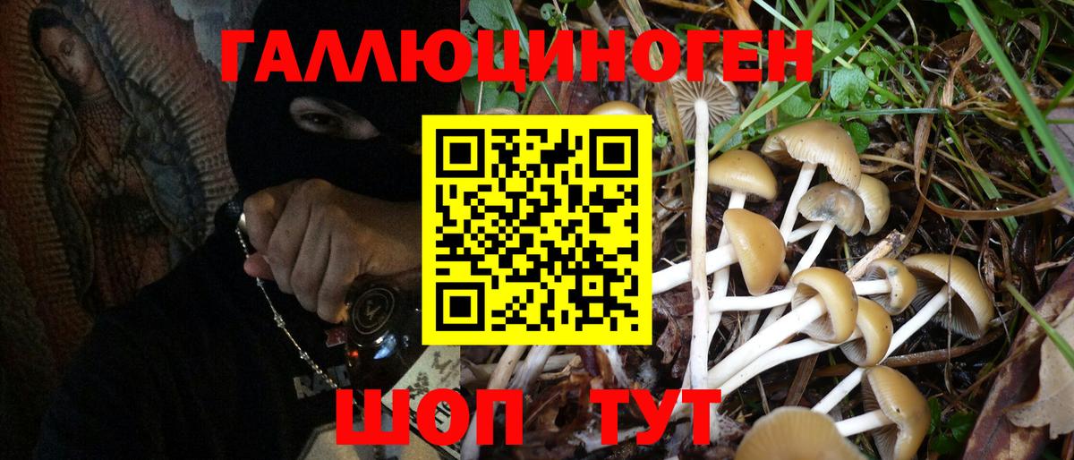 Коломна  Галлюциногенные грибы MAGIC MUSHROOMS  как найти закладки  Вход с VPN 